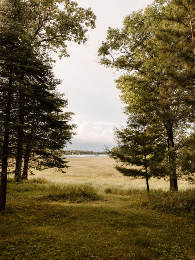 stunning-views-from-the-cabin
